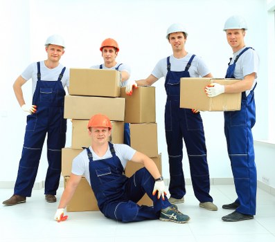 Team coordinating an office removals Bayswater move with labeled equipment